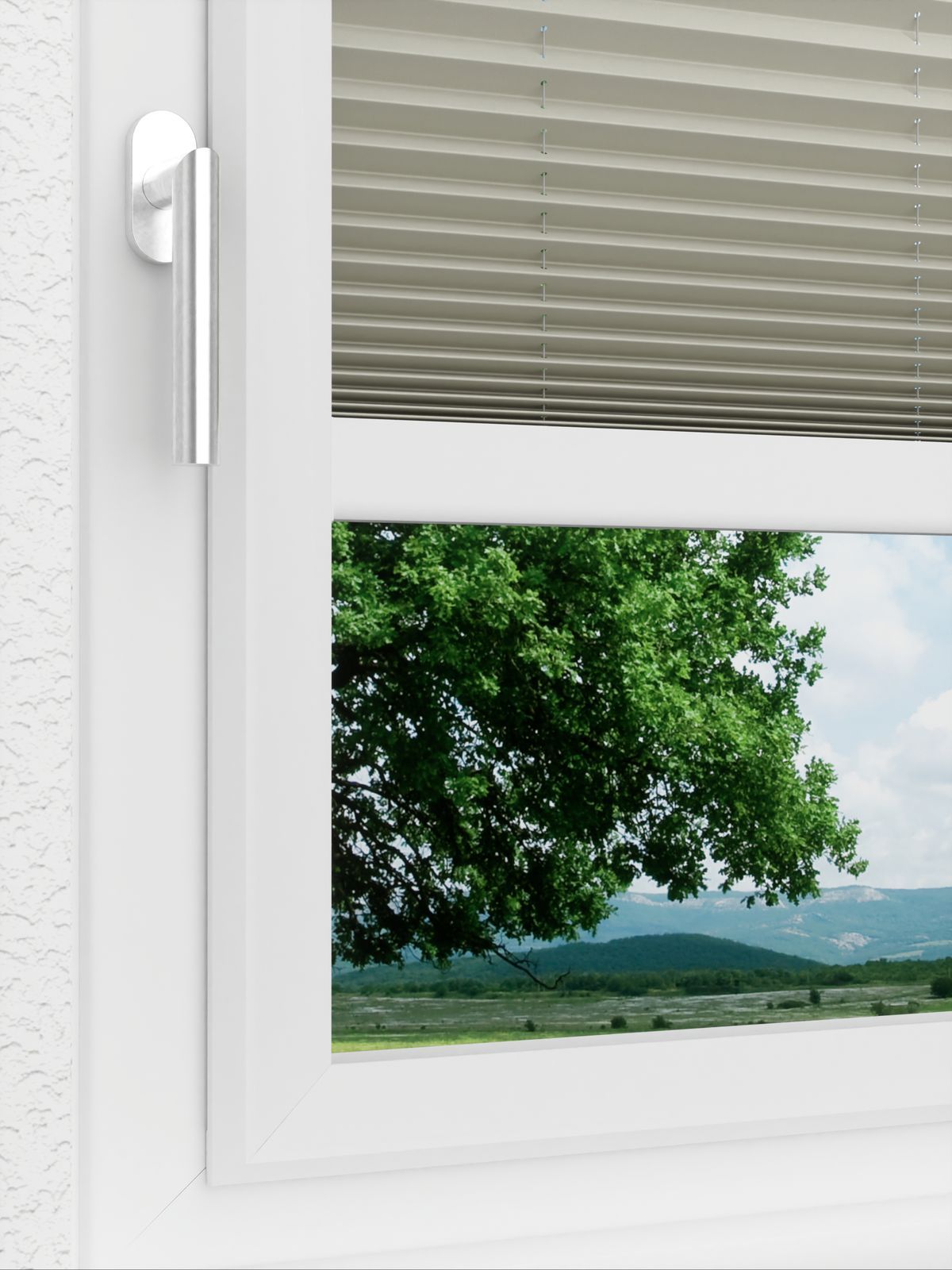 Detailansicht LYSEL HOME Plissé 114A Pinus BO