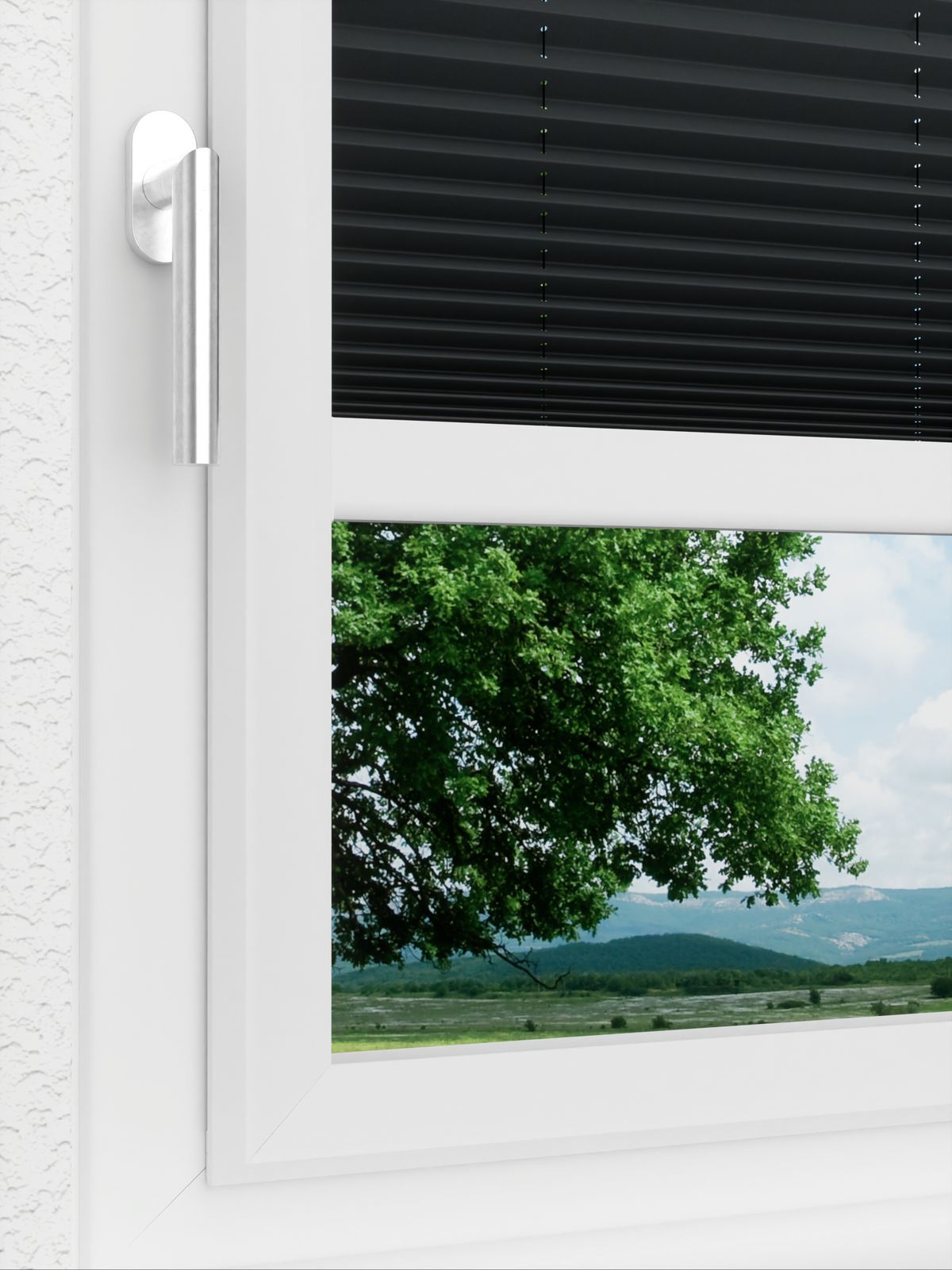 Detailansicht LYSEL HOME Plissé 116A Pinus BO