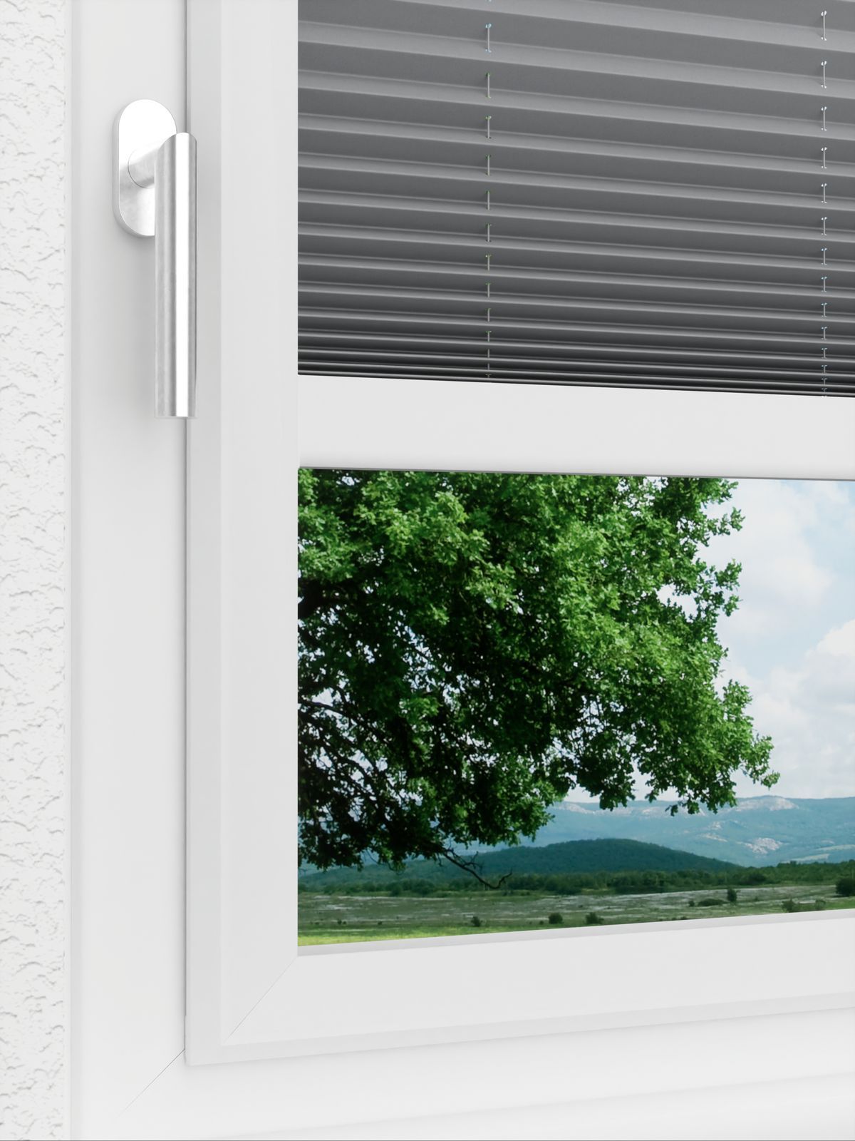 Detailansicht LYSEL HOME Plissé 218A Pinus BO