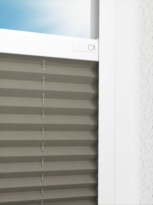 Preview LYSEL HOME Plissé 221A Pinus BO 2