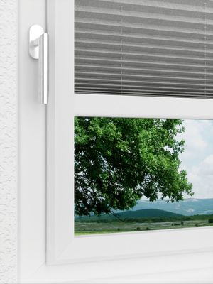 Preview LYSEL HOME Plisségordijn 217A Betula BO 3