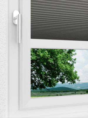 Preview LYSEL HOME Plissee 020A Calluna Wabe 3