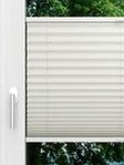LYSEL HOME Plissé 219B Aralia BO Fensteransicht