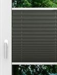 LYSEL HOME Plissé 202B Aralia BO Fensteransicht