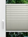 LYSEL HOME Plissé 212B Aralia Parel Fensteransicht