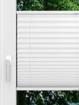 LYSEL HOME Plissé 205B Aralia Fensteransicht