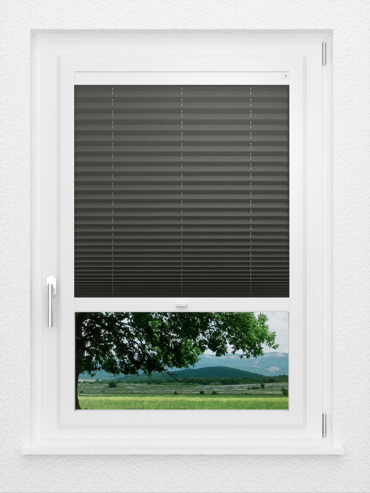 Detailansicht LYSEL HOME plissé 211A Aralia Parel