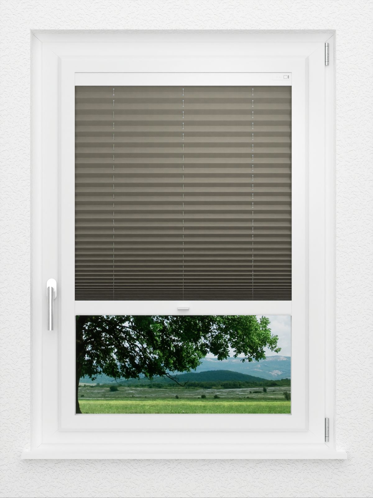 Detailansicht LYSEL HOME Plisségordijn 221A Pinus BO