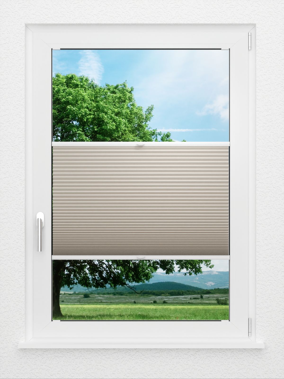 Detailansicht LYSEL HOME Plissee 012A Nana BO Wabe