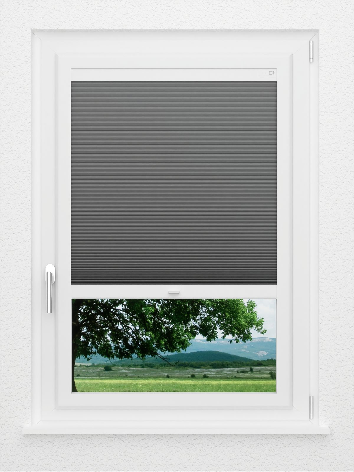 Detailansicht LYSEL HOME plissé 007A Alba LI Honingraa