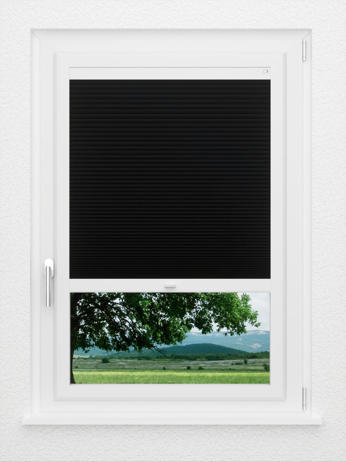 Detailansicht LYSEL HOME plissé 032A Alba LI Honingraa