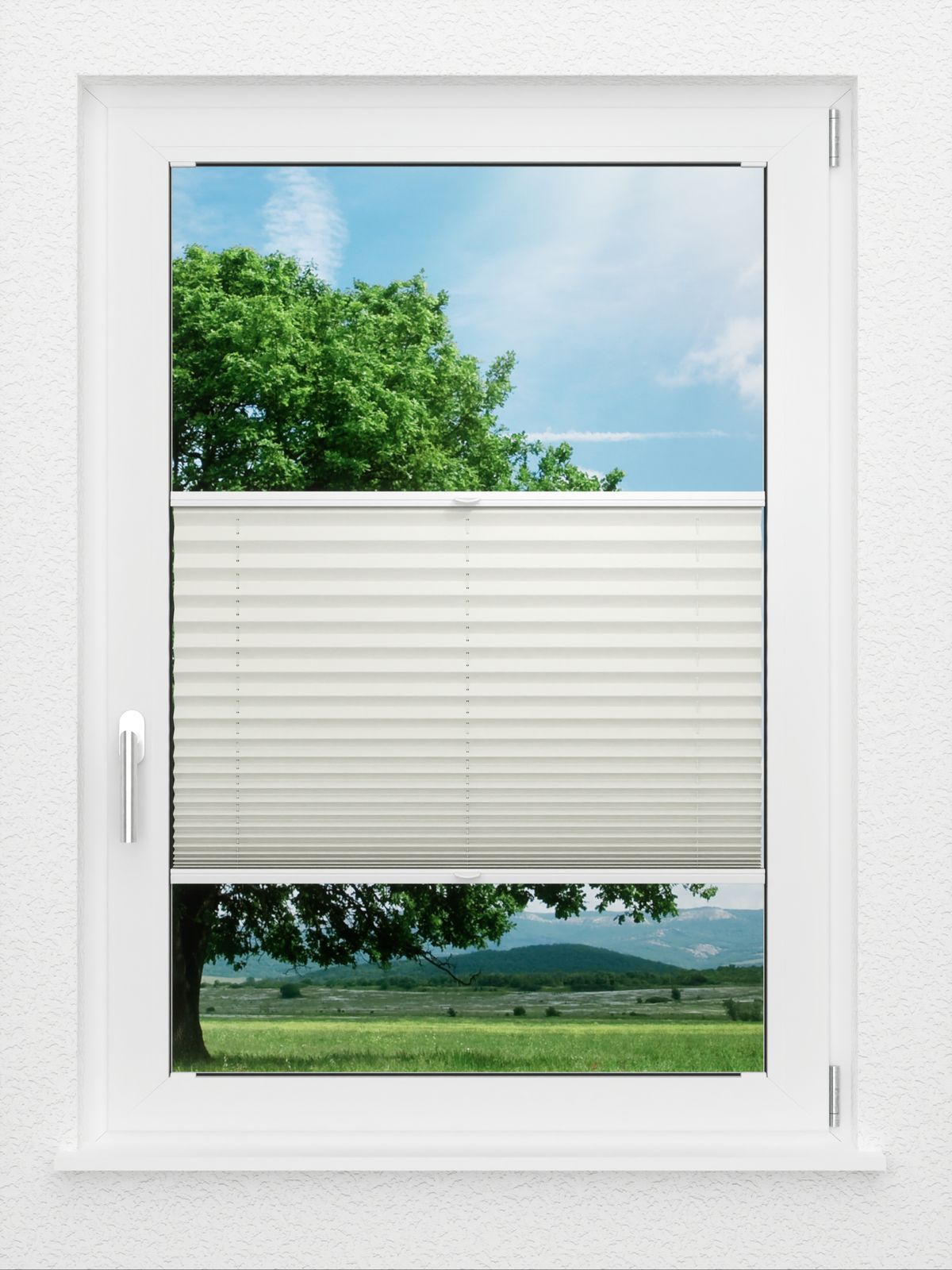 Detailansicht LYSEL HOME Plissé 219B Aralia BO