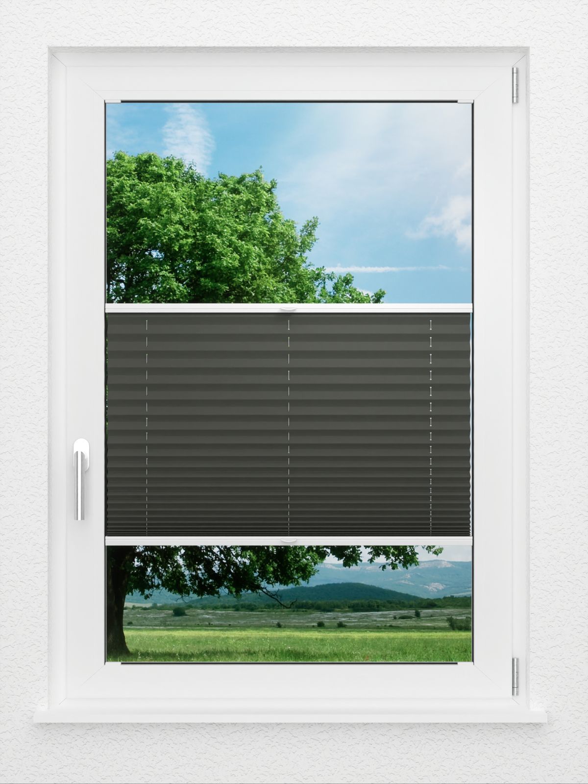 Detailansicht LYSEL HOME Plissé 202B Aralia BO