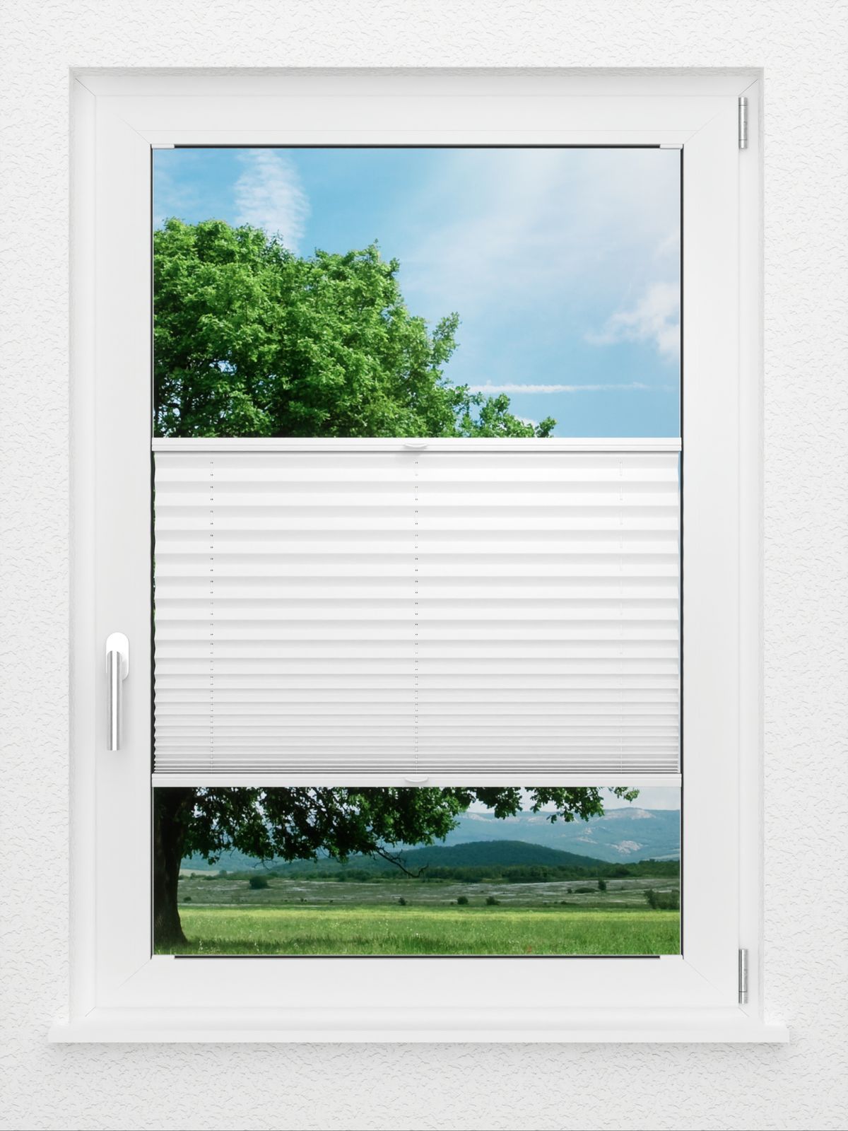 Detailansicht LYSEL HOME Plissé 205B Aralia