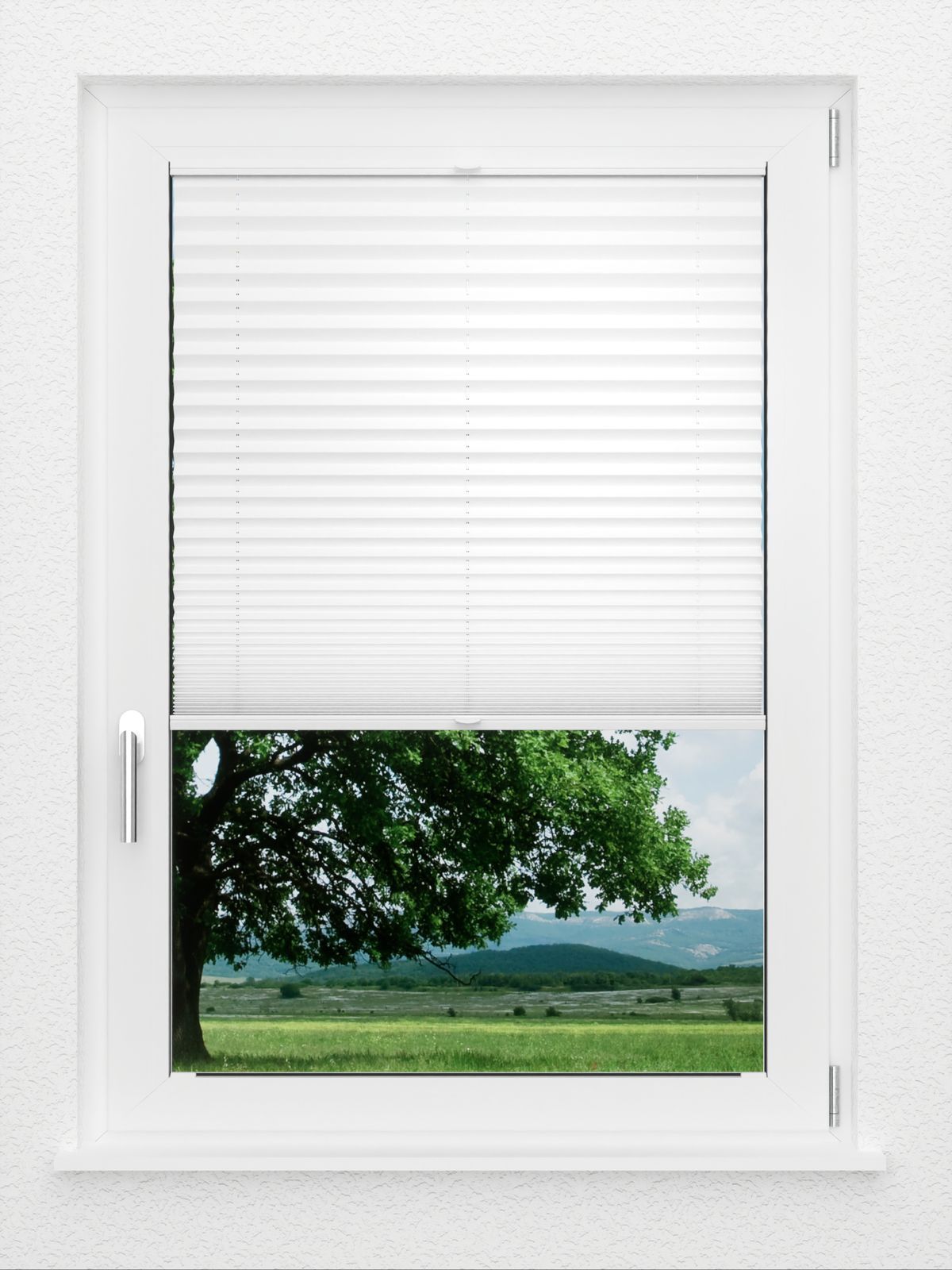 Detailansicht LYSEL HOME Plissé 205B Aralia