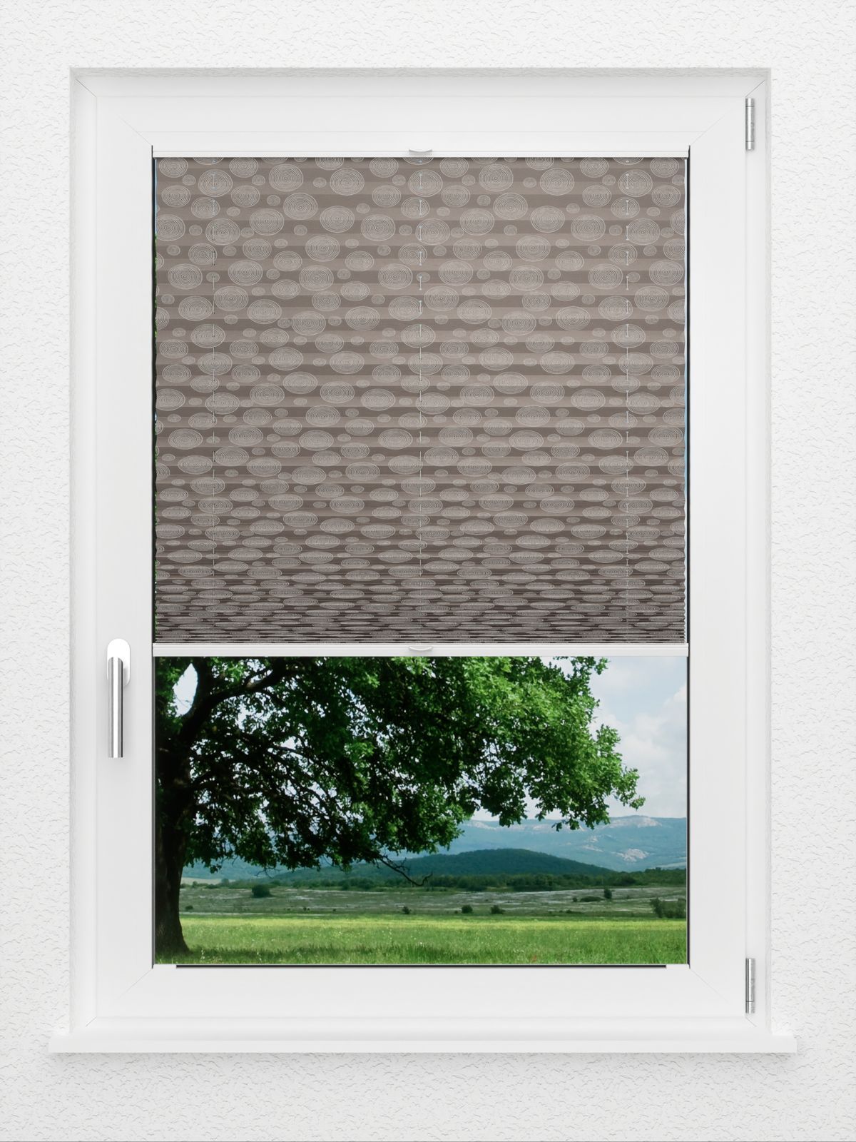 Detailansicht LYSEL HOME Plissee 411A Shiny Rings