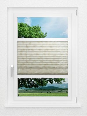 Preview LYSEL HOME Plissee 342A Brisanto 0