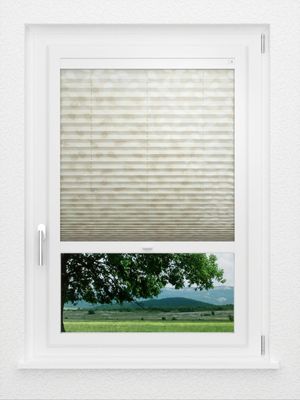 Preview LYSEL HOME Plissee 342A Brisanto 1