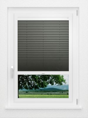 Preview LYSEL HOME Plisségordijn 208A Aralia 0