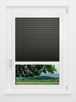 Preview LYSEL HOME Plisségordijn 202A Aralia BO 0