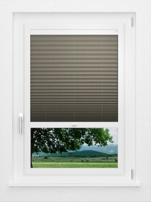 Preview LYSEL HOME Plisségordijn 221A Pinus BO 0