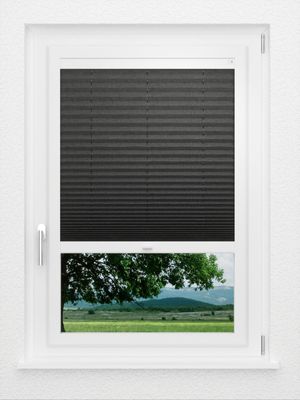 Preview LYSEL HOME Plisségordijn 117A Betula BO 0