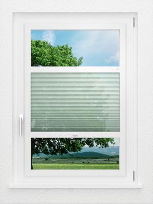 Preview LYSEL HOME Plissee 423A Sensitivo 0