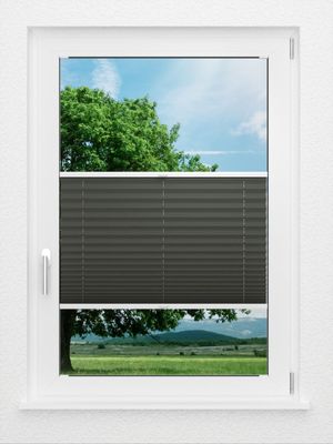 Preview LYSEL HOME Plissé 202B Aralia BO 0