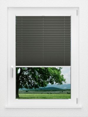 Preview LYSEL HOME Plissé 202B Aralia BO 1