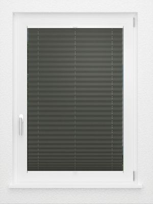 Preview LYSEL HOME Plissé 202B Aralia BO 2