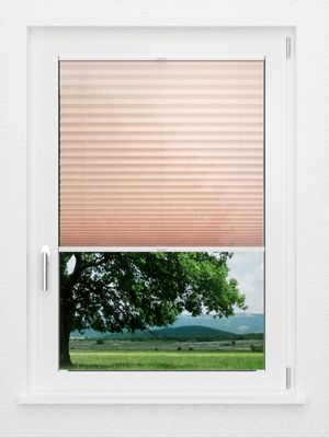 Preview LYSEL HOME Plissee 440A Plain 1