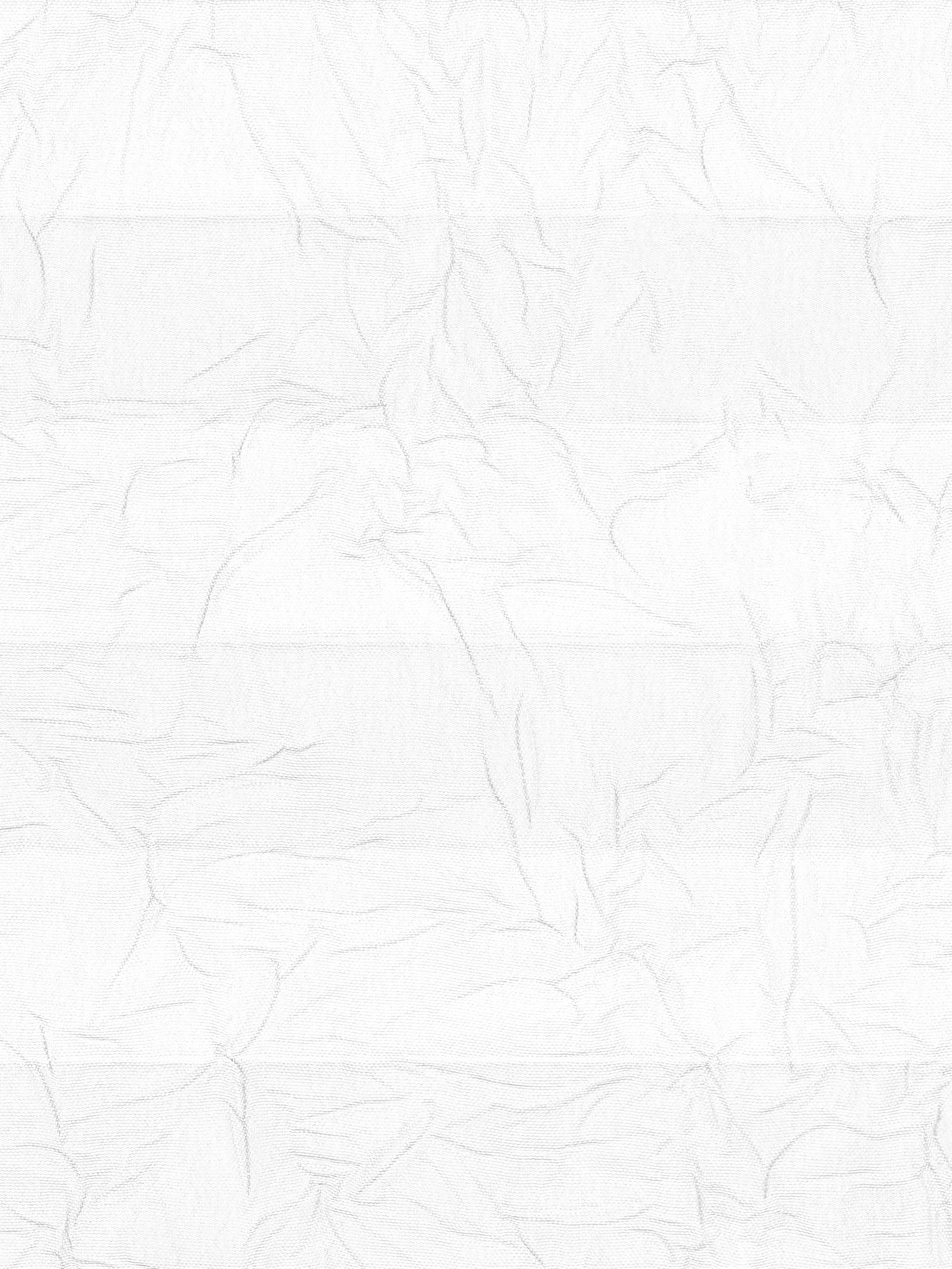 Detailansicht LYSEL HOME Plisségordijn 104A Erinus