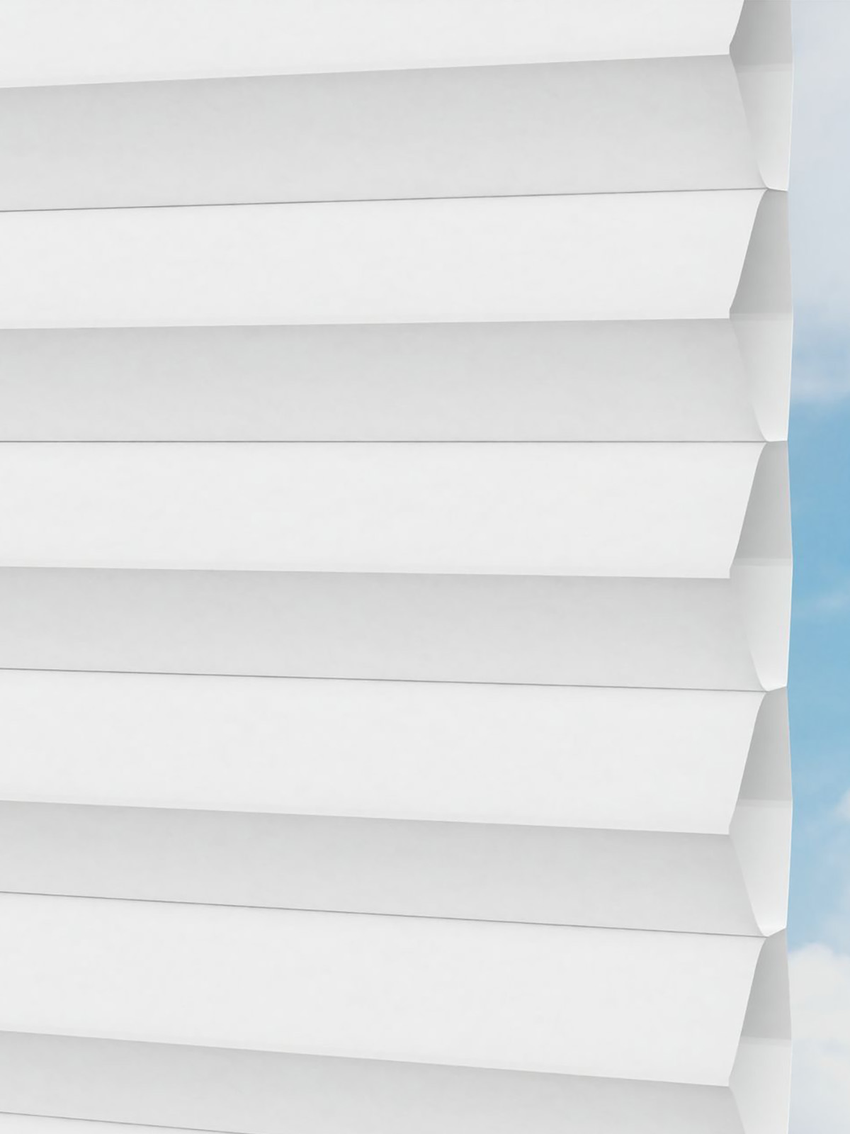 Detailansicht LYSEL HOME plissé 004A Alba LI Honingraa