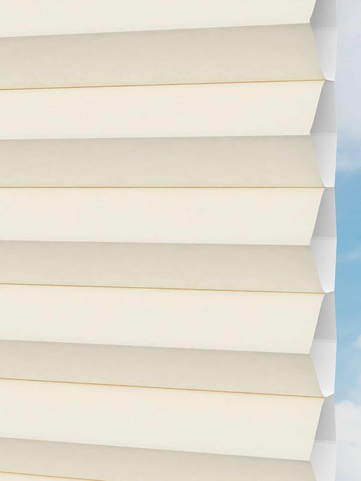 Detailansicht LYSEL HOME plissé 013A Alba LI Honingraa