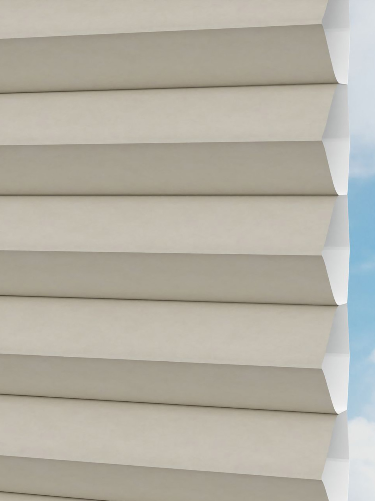 Detailansicht LYSEL HOME plissé 001A Alba LI Honingraa