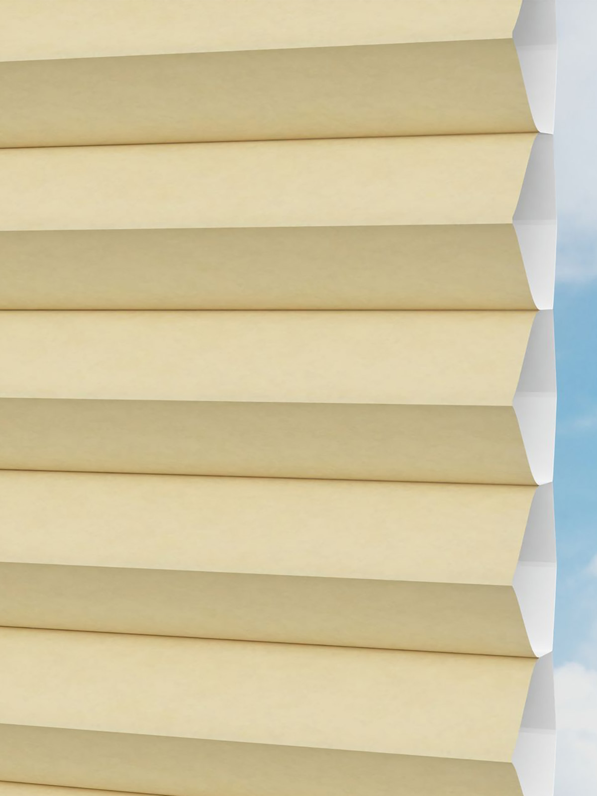 Detailansicht LYSEL HOME plissé 031A Alba LI Honingraa