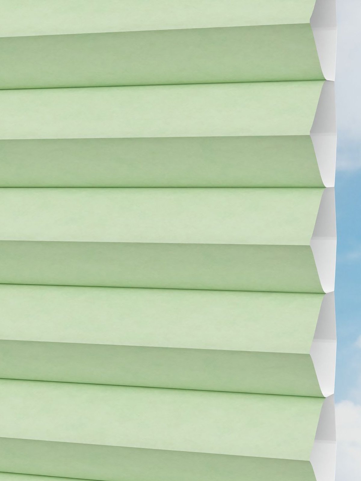 Detailansicht LYSEL HOME plissé 027A Alba LI Honingraa