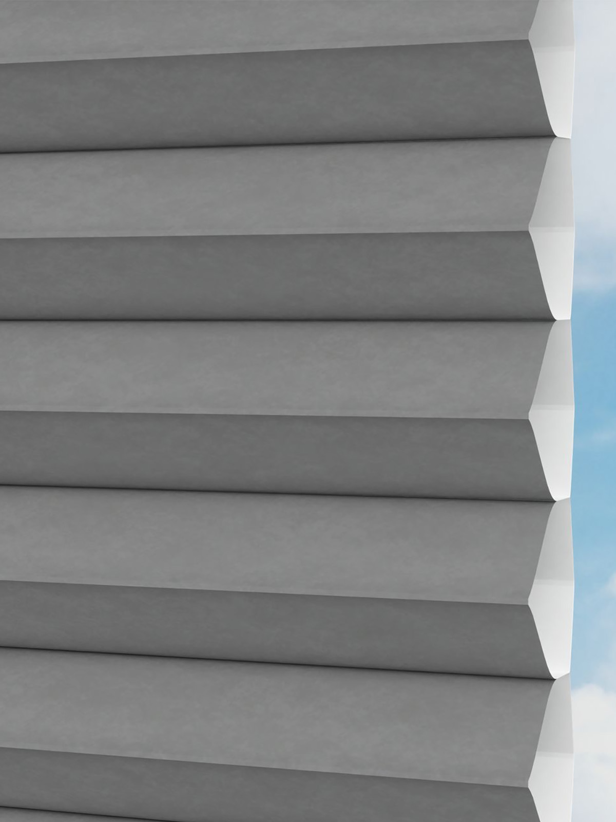 Detailansicht LYSEL HOME plissé 007A Alba LI Honingraa