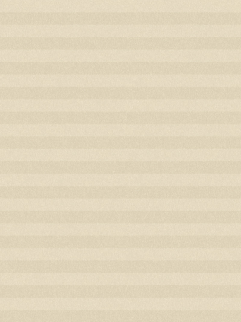 Preview LYSEL HOME Plissee 033A Nana BO Wabe 4