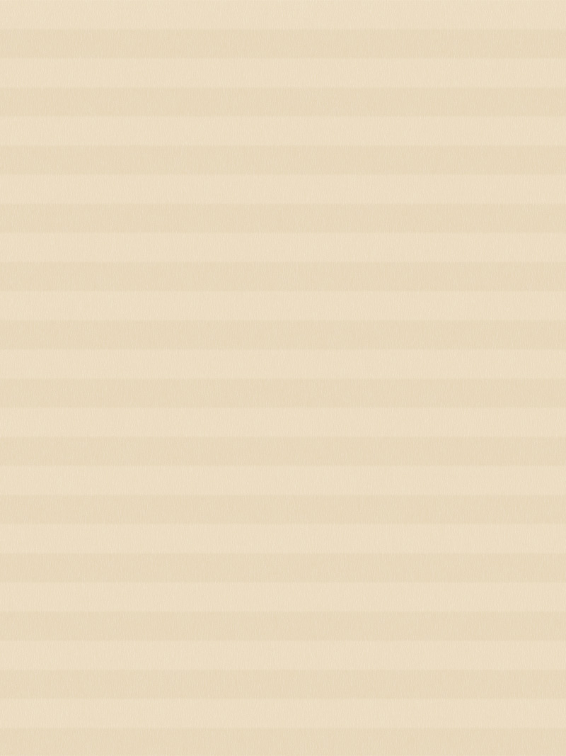 Preview LYSEL HOME Plissee 035A Alba LI Wabe 4