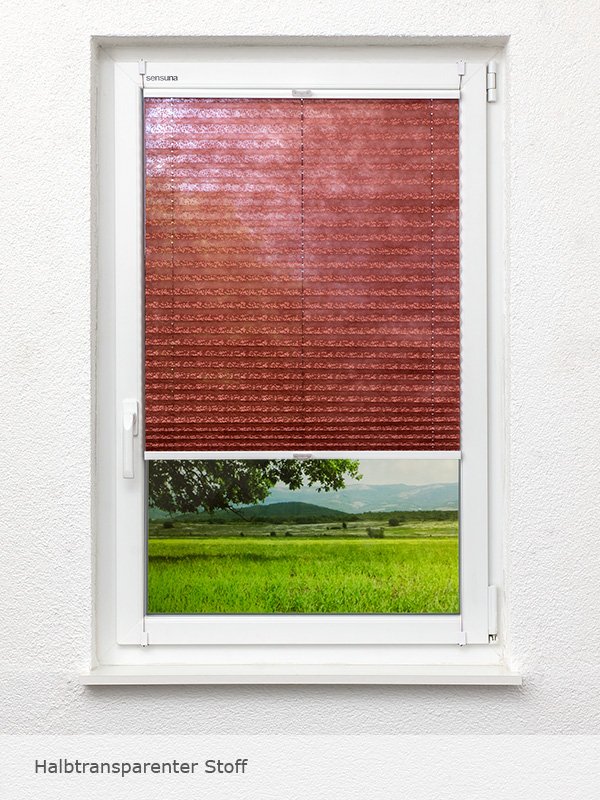 Detailansicht Plisséen 5204.1515