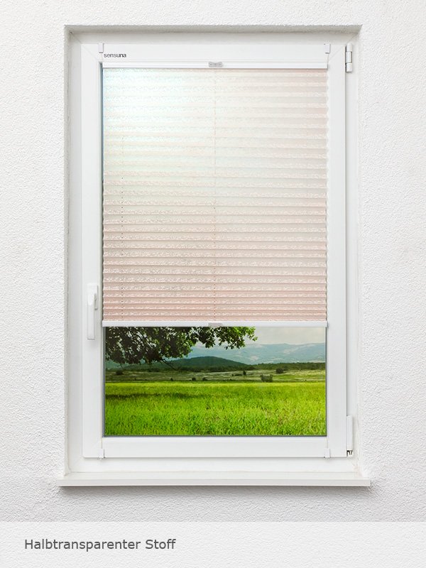 Detailansicht Plisséen 5202.1520
