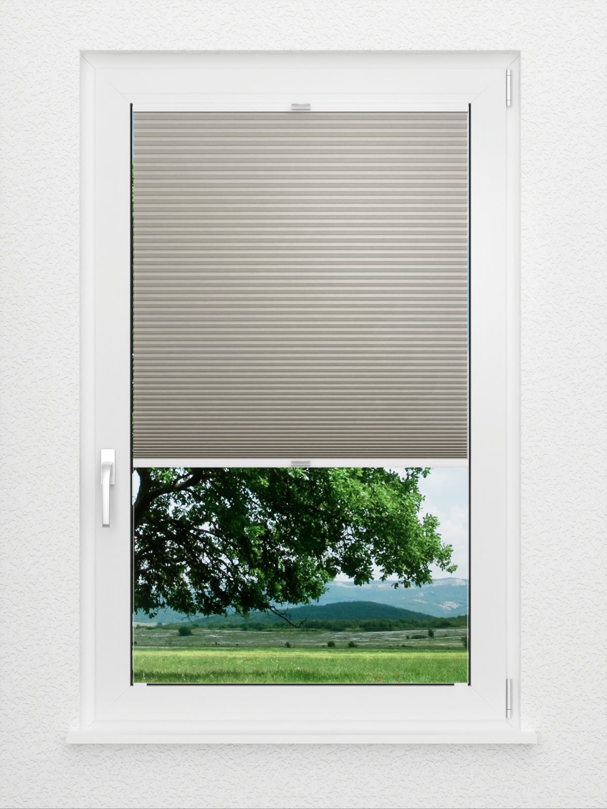 Detailansicht Bumby Comb LI 3302.3581