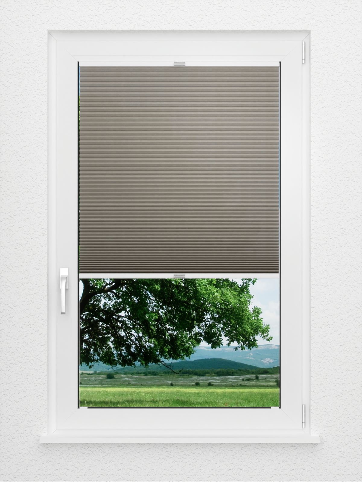 Detailansicht Bumby Comb LI 3402.3582