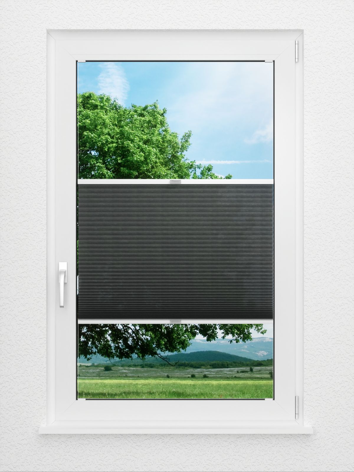 Detailansicht Bumby Comb LI 3508.3583