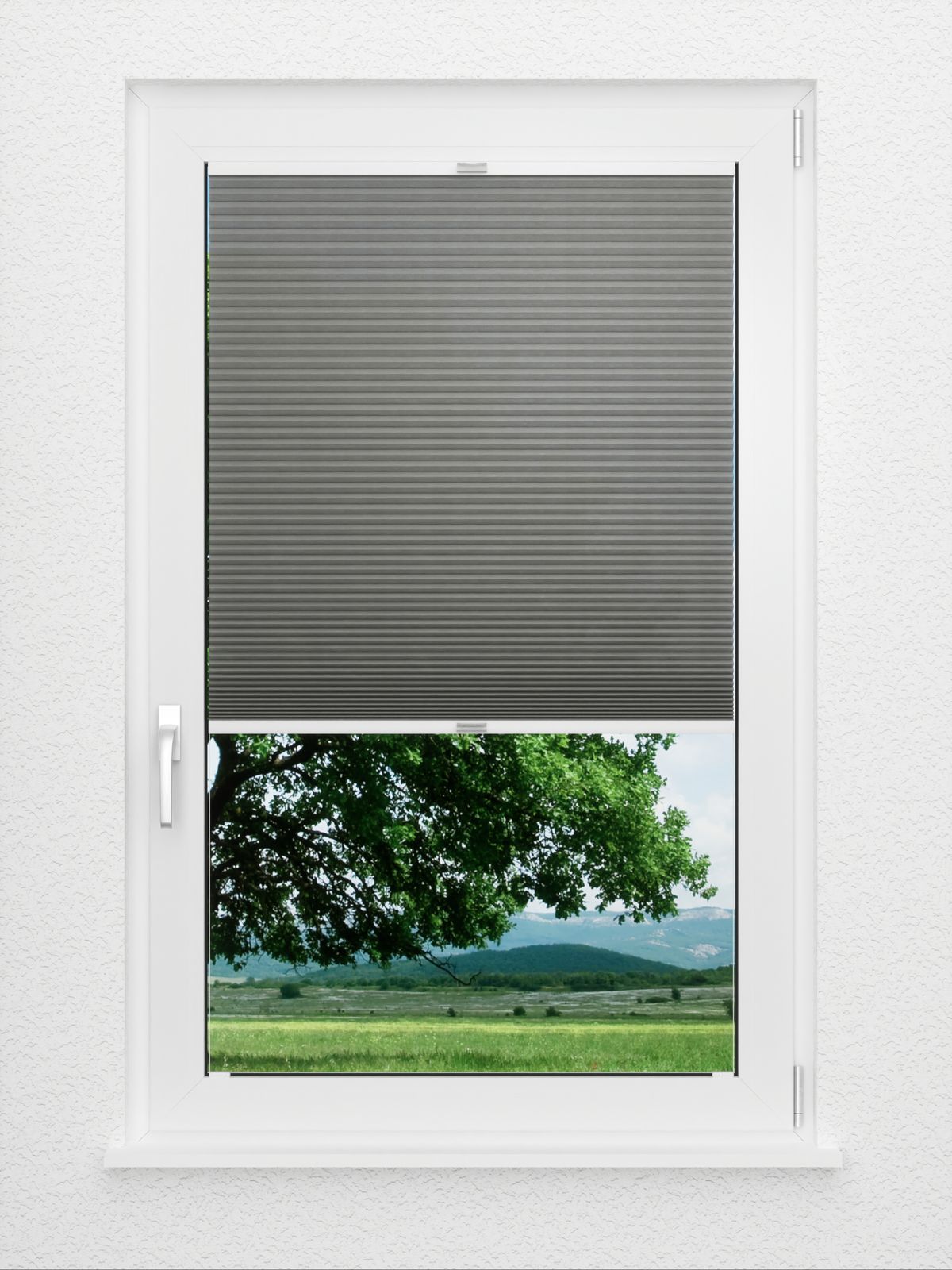 Detailansicht Bumby Comb LI 3609.3584