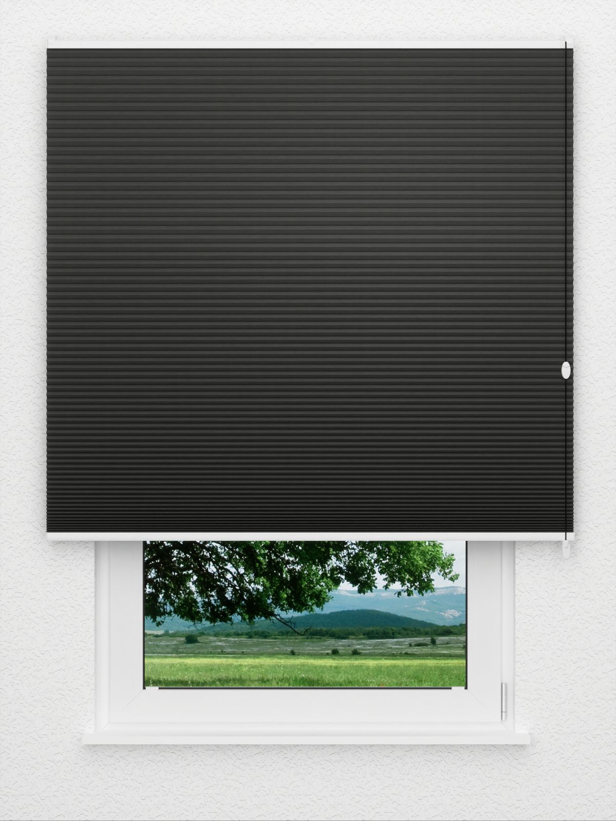 Detailansicht Kistkam SC 7409.3630