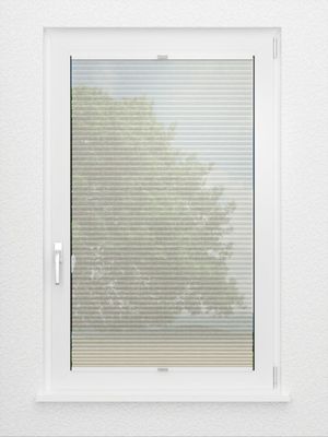 Preview Rough Comb SCL 6101.3575 3