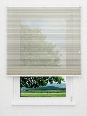 Preview Rough Comb SCL 6101.3575 0