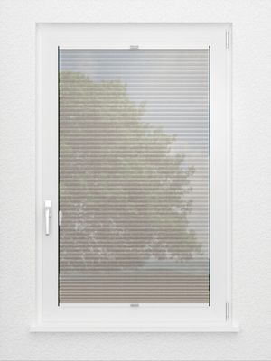 Preview Rough Comb SCL 6201.3576 3